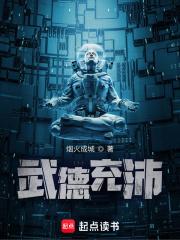 武德充沛封面